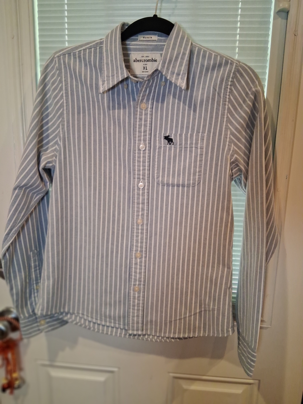 sku130 Abercrombie & Fitch Boy's Blue Stripe Button-Down Shirt - XL